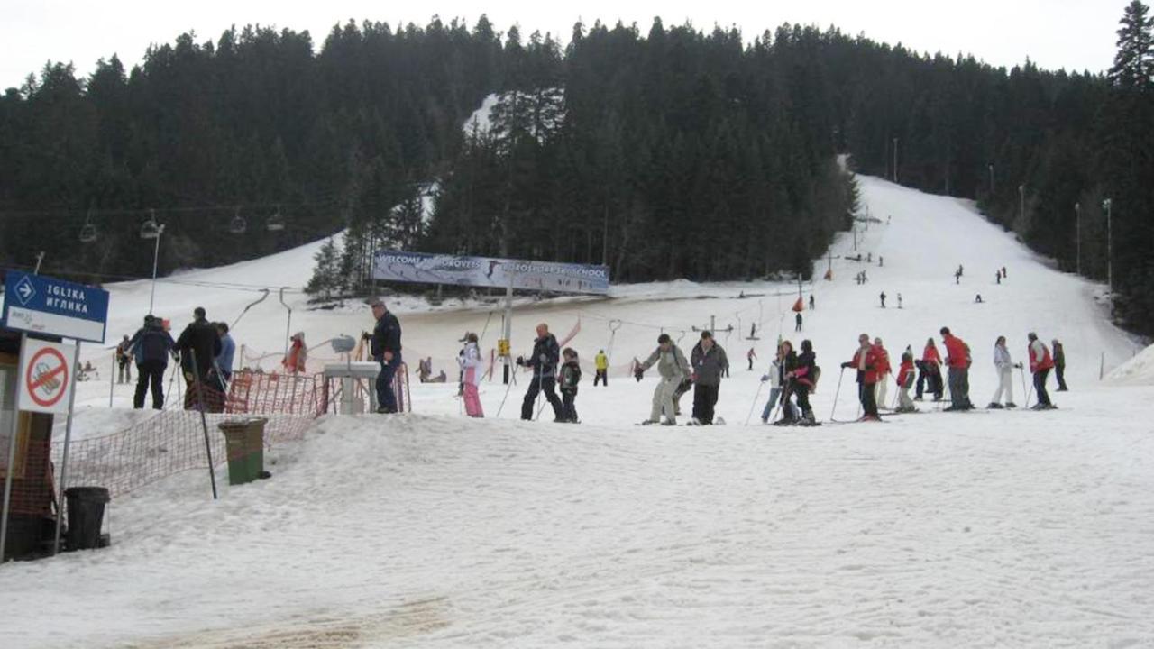 Flora Ski-slope Borowez