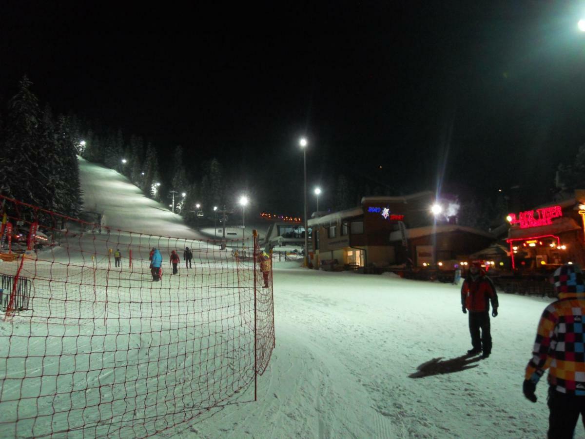 Flora Ski-slope Apartment Borowez